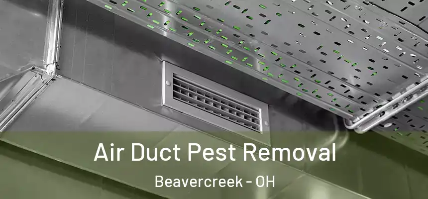 Air Duct Pest Removal Beavercreek - OH