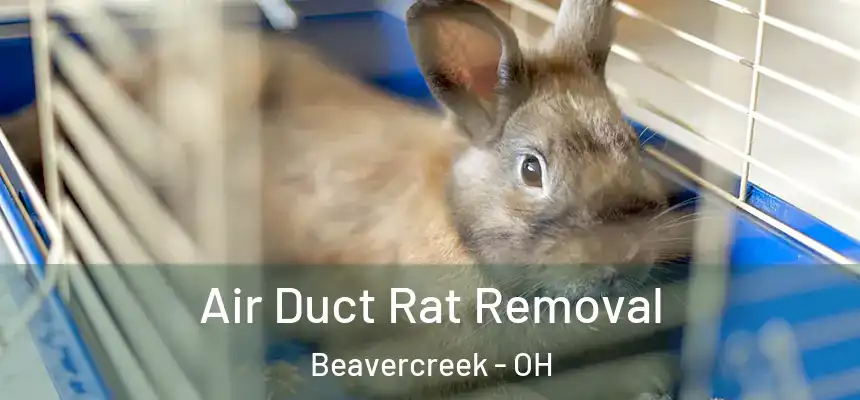Air Duct Rat Removal Beavercreek - OH