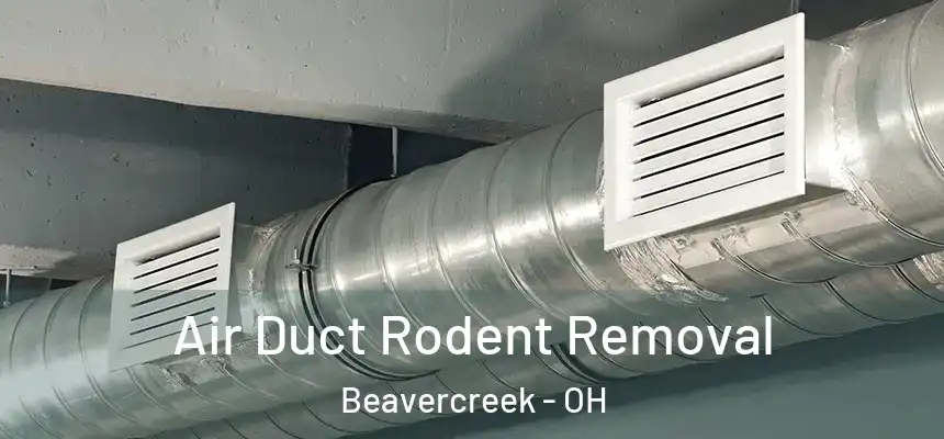  Air Duct Rodent Removal Beavercreek - OH