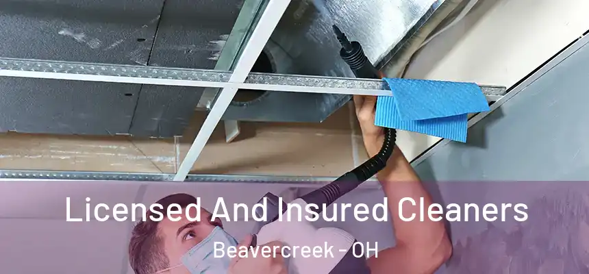 Licensed And Insured Cleaners Beavercreek - OH