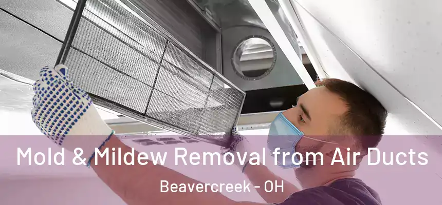 Mold & Mildew Removal from Air Ducts Beavercreek - OH