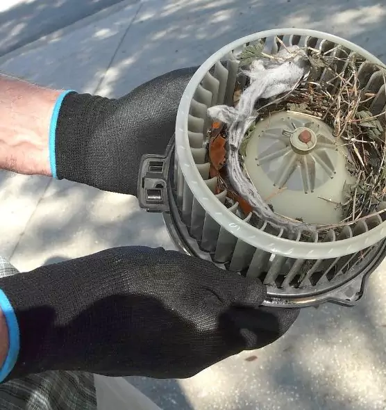 About Air Duct Rat Removal in Beavercreek, OH