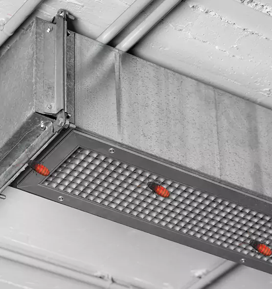 Affordable Insect Removal from Air Ducts in Beavercreek, OH